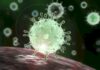 Koronavirüs: Ne Bilmek Gerekiyor? OppoTr.Com