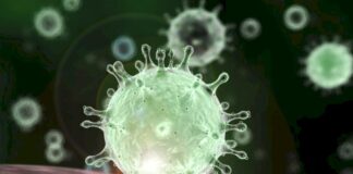 Koronavirüs: Ne Bilmek Gerekiyor? OppoTr.Com