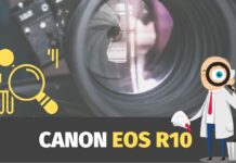 Canon EOS R10 incelemesi: Yeni başlayanlar için süper güçlü bir aynasız kamera