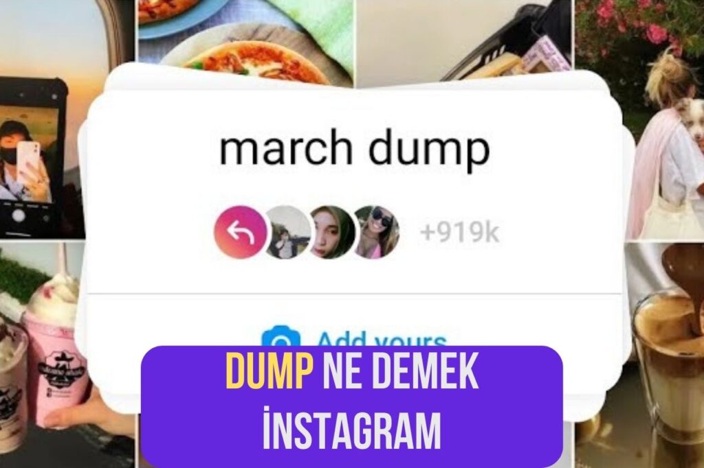 Dump Ne Demek instagram
