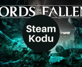 Lords of the Fallen Steam Kodu