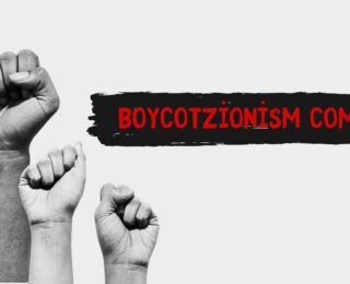 Boycotzionism Com