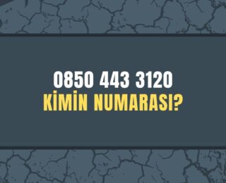 08504433120 Kimin Numarası?