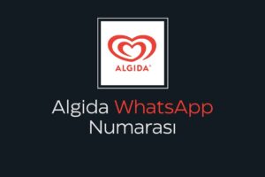 Algida WhatsApp Numarası ile Dondurma Keyfi Cebinde!