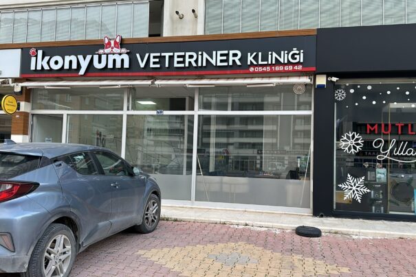 İkonyum Veteriner Kliniği: Kedinizin Sağlığı İçin Güvenilir ve Uzman Hizmetler